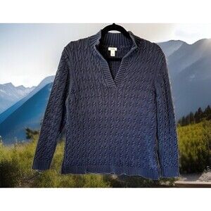 L.L. Bean Blue V-Neck Sweater